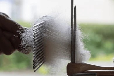 downpic.cc 2524071191